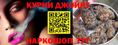 a pvp Славгород