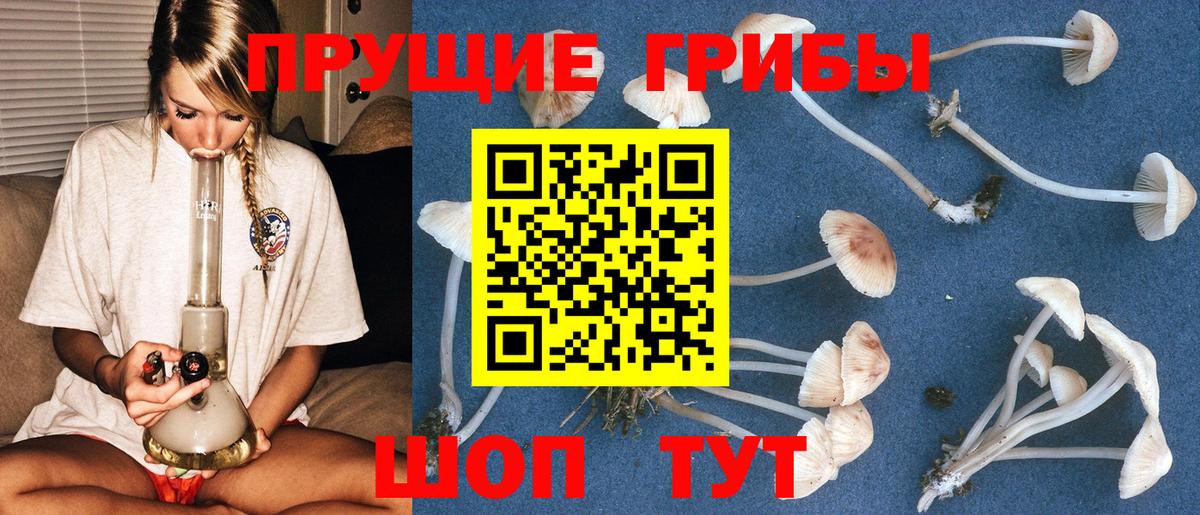 Полевской  Галлюциногенные грибы Psilocybe  Вход с VPN 