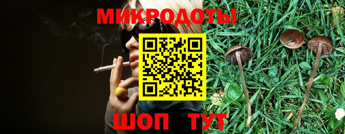 Псилоцибиновые грибы мухоморы Полевской
